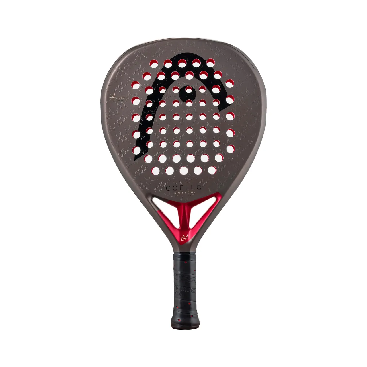 Head Coello Motion 2026